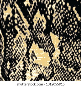 animal skin leopard pattern in vector 