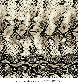 Animal Skin Pattern