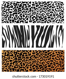 Animal Skin Pattern set of leopard zebra, jaguar