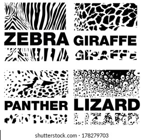 Animal Skin Pattern, set of zebra, panther, giraffe and lizard