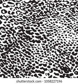 animal skin pattern in vector