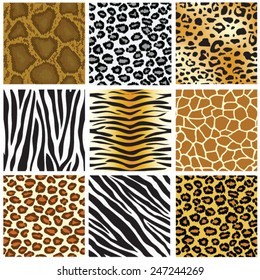 animal skin seamless pattern set, vector illustration