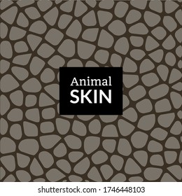 Animal skin texture pattern. Elephant crocodile snake or reptile vector skin texture print