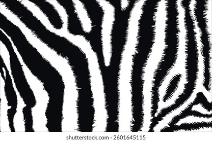 animal skin textures zebra pattern