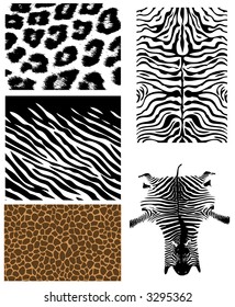 animal skin tiger jaguar panther run leopard animal white exotic wild black expedition africa leather african wilderness silhouette fur hair art skin patterned lined patterns cheetah giraffe painting