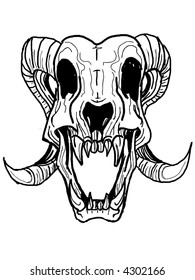 Animal skull