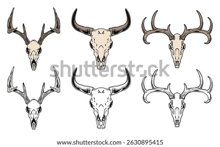 Animal Skull with Antlers Vector Set. Color and Outline Style