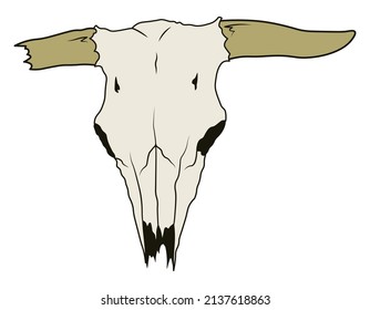 Animal skull with horns cow bull head isolated illustration