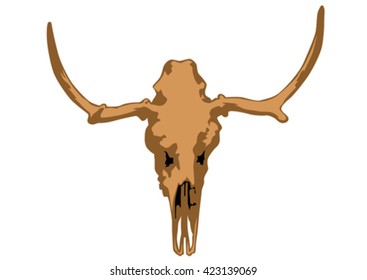 Animal skull with horns on a white background