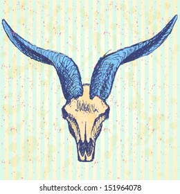 Animal skull with horns, vector sketch background