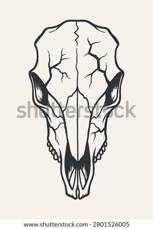 An animal skull illustration with visible cracks in a dark monochrome hand-drawn style on a light beige background