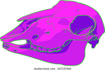 Animal Skull Neon Pink