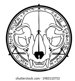 animal skull on the background of alchemical seal with magic symbols