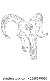 animal skull with pentagram