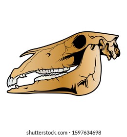 Animal skull vector illustration. Gold bones and silver teeth.