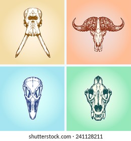 1,553 Elephant skull Images, Stock Photos & Vectors | Shutterstock