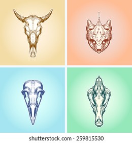 Animal skulls set isolated on white background. Cow, barn owl, turtle, Shepherd. Vector illustration, EPS 10. Contains transparent objects