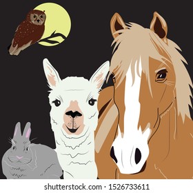 Animal Sleepover Party. Night Owl, Bunny Rabbit, Horse, Llama 