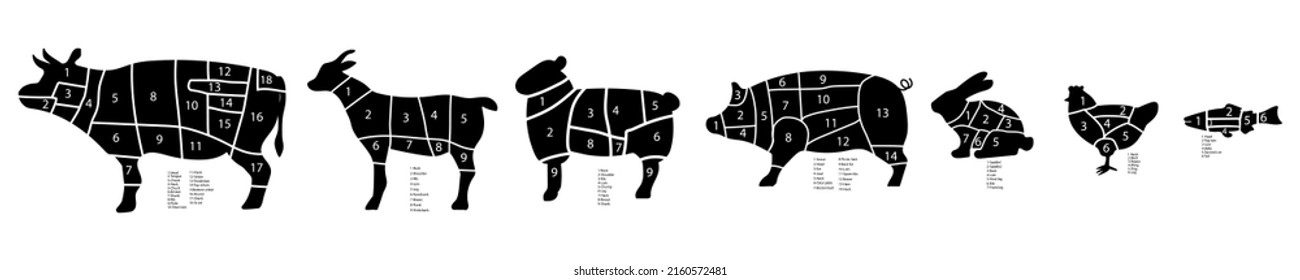 Animal slicing scheme in sketch style on white background. Slicing chart with numbers. Vector illustration. stock image.
