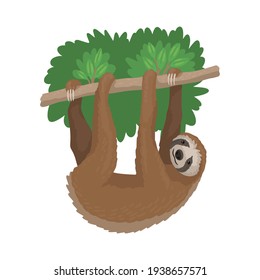 Animal sloth hanging on a tree branch, unau resting beast. Zoo character, wild rare animal. Cute character isolated on a white background, vector cartoon illustration.