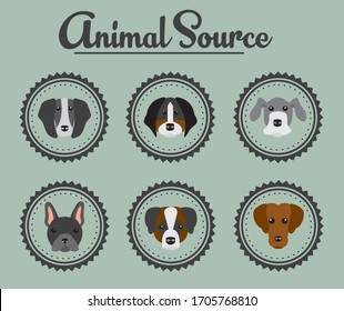 Conjunto de perros para la ilustración vectorial de origen animal