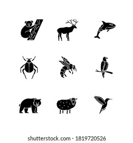 Animal species black glyph icons set on white space. Flying birds, land animals and sea creatures silhouette symbols. Diverse wildlife, exotic and ordinary fauna. Vector isolated illustrations