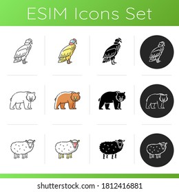 Animal species icons set. Linear, black and RGB color styles. Brown bear, common sheep and condor. Mammals and bird. Diverse wildlife, exotic and ordinary fauna. Isolated vector illustrations