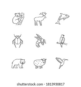 Animal species pixel perfect linear icons set. Flying birds, land animals and sea creatures customizable thin line contour symbols. Isolated vector outline illustrations. Editable stroke