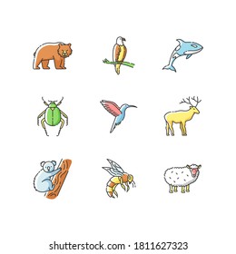 Animal species RGB color icons set. Flying birds, land animals and sea creatures. Diverse wildlife, exotic and ordinary fauna. Isolated vector illustrations