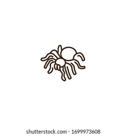 animal spider simple line icon. vector design