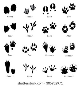 Animal Spoor Footprints Icon Vector