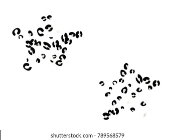 Animal spots. Animal abstract print pattern. Vector illustration for celebration, party, holiday, invitation and Your project. Chaotic Decor. Modern Creative Style.