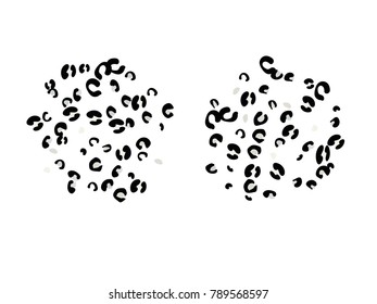 Animal spots. Animal abstract print pattern. Vector illustration for celebration, party, holiday, invitation and Your project. Chaotic Decor. Modern Creative Style.