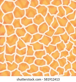 Animal spots background icon vector illustration graphic design