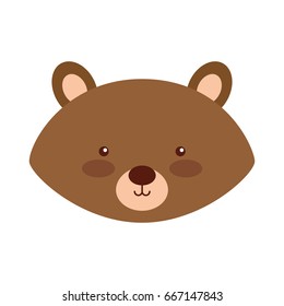 Animal squirrel cartoon