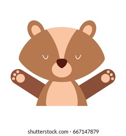 Animal squirrel cartoon