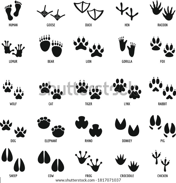 Animal Step Illustration Vector Design Stock Vector (Royalty Free ...