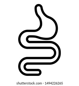 Animal stomach icon. Outline animal stomach vector icon for web design isolated on white background