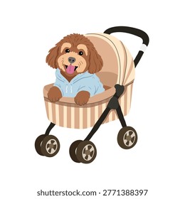 Animal in a stroller, walking with a pet, Dog walking concept
