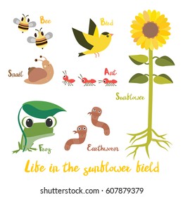 Animal in the sunflower field cartoon illustration design