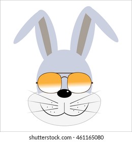 animal with sunglasses
