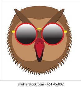 animal with sunglasses