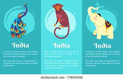 Animal symbols of India on set of posters. Vector illustration of peacock with colourful feathers, monkey with long tail and white elephant on blue