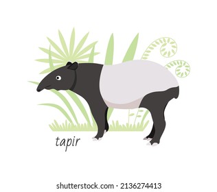 Animal tapir isolated on white background. Tropical plants. Vector flat illustration