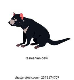 Animal Tasmanian devil. Vector illustration