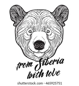 Animal teddy Bear head print for adult anti stress coloring page. Ethnic patterned ornate hand drawn vector illustration. symbol of Siberia, Russia. Sketch for tattoo, poster, print or t-shirt.