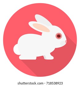 animal testing bunny flat design icon