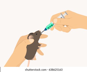 animal testing toxic injection substance into the mouth of a mouse flat design