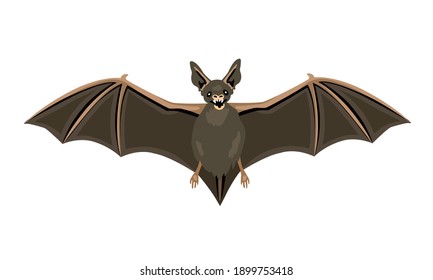 Animal that is a reservoir of various strains of the virus. Bats flying symbol horror halloween.