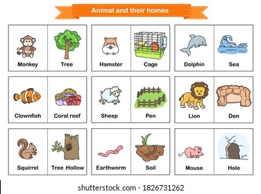 Animal and Their Homes Flash Cards. Printable flash card illustrating : Monkey, Hamster, Dolphin, Clownfish, Sheep, Lion, Squirrel, Earthworm, Mouse - Flashcards for education.